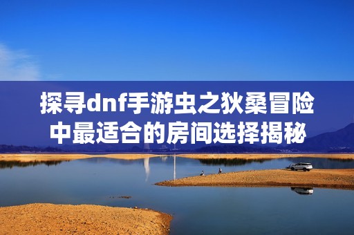 探寻dnf手游虫之狄桑冒险中最适合的房间选择揭秘