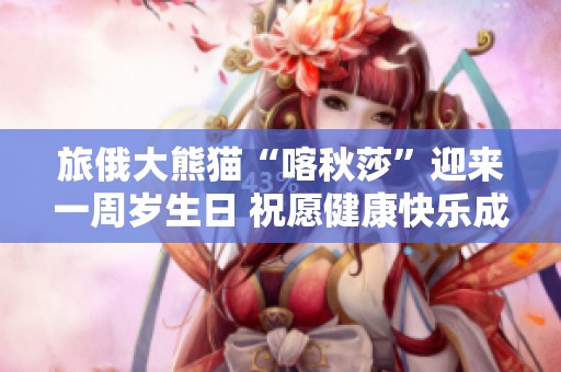 旅俄大熊猫“喀秋莎”迎来一周岁生日 祝愿健康快乐成长