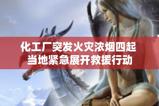 化工厂突发火灾浓烟四起 当地紧急展开救援行动