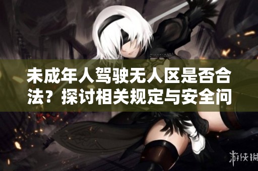 未成年人驾驶无人区是否合法？探讨相关规定与安全问题