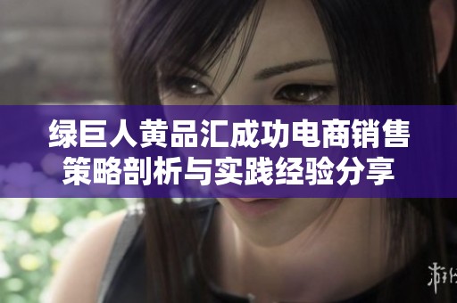绿巨人黄品汇成功电商销售策略剖析与实践经验分享