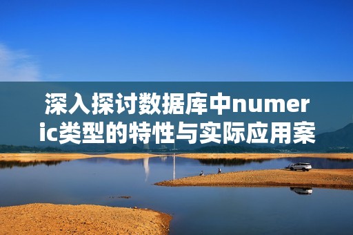 深入探讨数据库中numeric类型的特性与实际应用案例
