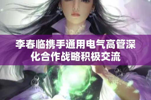 李春临携手通用电气高管深化合作战略积极交流