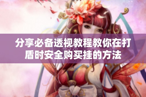 分享必备透视教程教你在打盾时安全购买挂的方法