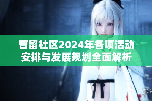 曹留社区2024年各项活动安排与发展规划全面解析