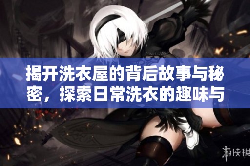揭开洗衣屋的背后故事与秘密，探索日常洗衣的趣味与挑战