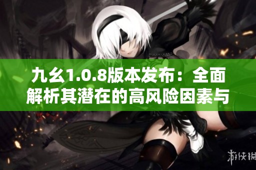 九幺1.0.8版本发布：全面解析其潜在的高风险因素与影响