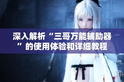 深入解析“三哥万能辅助器”的使用体验和详细教程