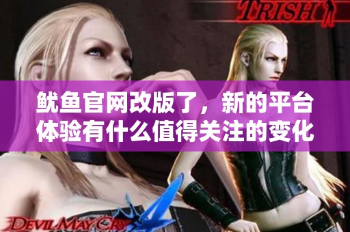 鱿鱼官网改版了，新的平台体验有什么值得关注的变化？