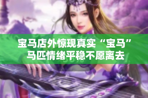 宝马店外惊现真实“宝马” 马匹情绪平稳不愿离去