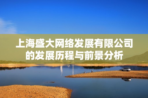 上海盛大网络发展有限公司的发展历程与前景分析