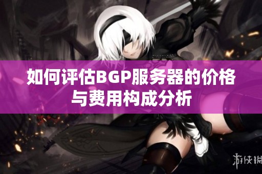 如何评估BGP服务器的价格与费用构成分析