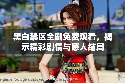 黑白禁区全剧免费观看，揭示精彩剧情与感人结局
