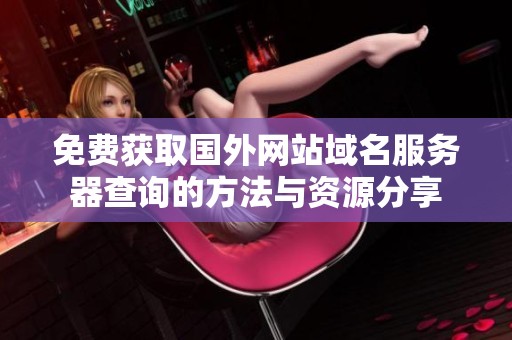 免费获取国外网站域名服务器查询的方法与资源分享