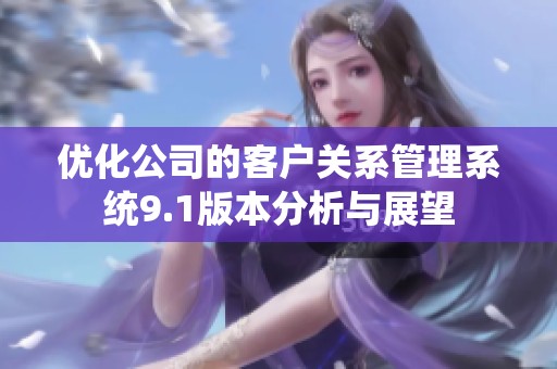 优化公司的客户关系管理系统9.1版本分析与展望