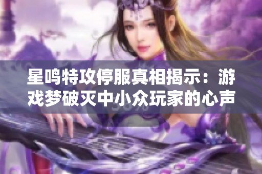 星鸣特攻停服真相揭示：游戏梦破灭中小众玩家的心声与困境