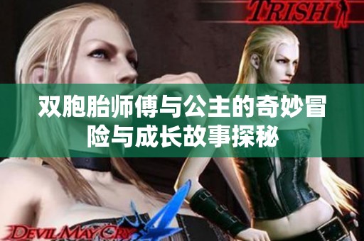 双胞胎师傅与公主的奇妙冒险与成长故事探秘