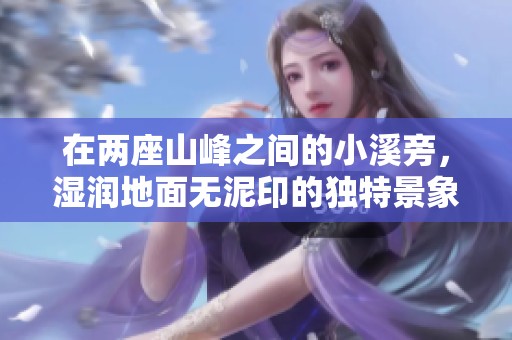 在两座山峰之间的小溪旁，湿润地面无泥印的独特景象