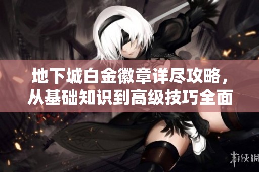 地下城白金徽章详尽攻略，从基础知识到高级技巧全面解析