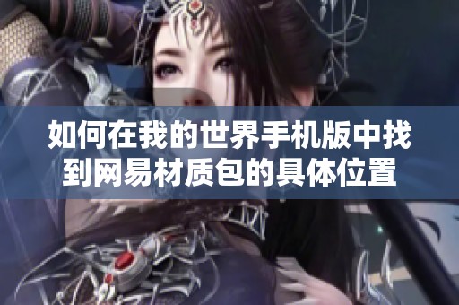 如何在我的世界手机版中找到网易材质包的具体位置