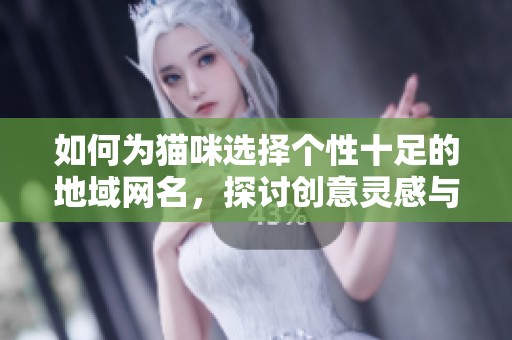 如何为猫咪选择个性十足的地域网名，探讨创意灵感与命名技巧