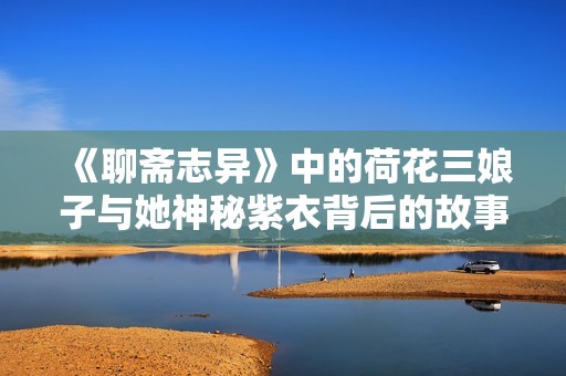 《聊斋志异》中的荷花三娘子与她神秘紫衣背后的故事探秘