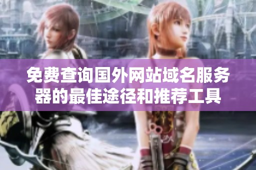 免费查询国外网站域名服务器的最佳途径和推荐工具