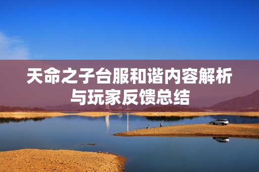 天命之子台服和谐内容解析与玩家反馈总结