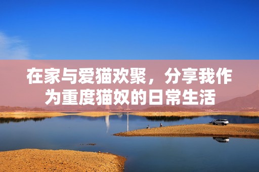 在家与爱猫欢聚，分享我作为重度猫奴的日常生活