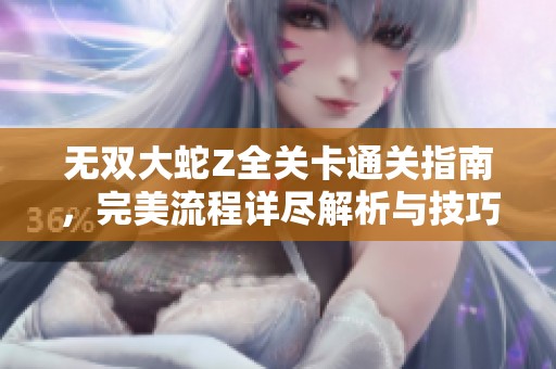 无双大蛇Z全关卡通关指南，完美流程详尽解析与技巧分享