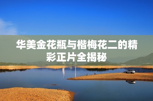 华美金花瓶与楷梅花二的精彩正片全揭秘