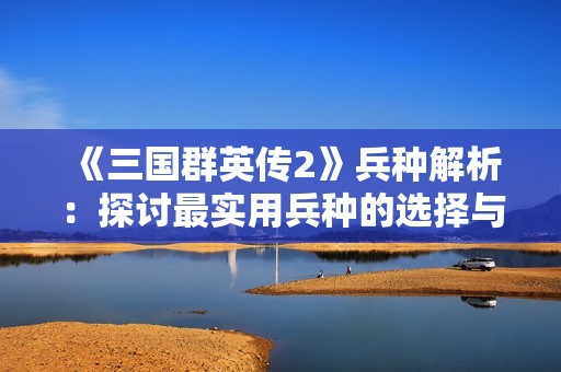 《三国群英传2》兵种解析：探讨最实用兵种的选择与搭配策略