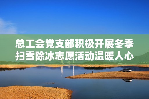 总工会党支部积极开展冬季扫雪除冰志愿活动温暖人心