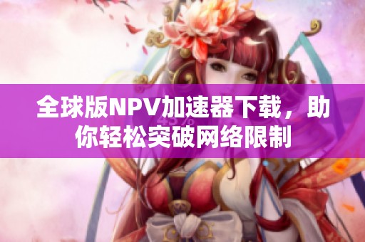 全球版NPV加速器下载，助你轻松突破网络限制