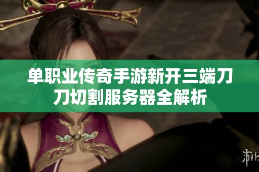 单职业传奇手游新开三端刀刀切割服务器全解析