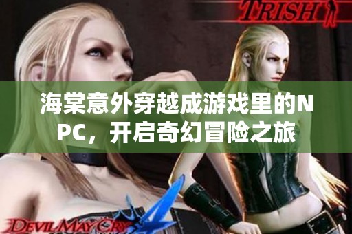 海棠意外穿越成游戏里的NPC，开启奇幻冒险之旅