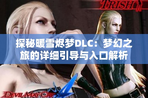 探秘暖雪烬梦DLC：梦幻之旅的详细引导与入口解析