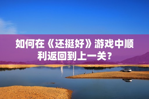 如何在《还挺好》游戏中顺利返回到上一关？