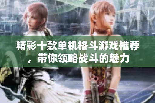 精彩十款单机格斗游戏推荐，带你领略战斗的魅力