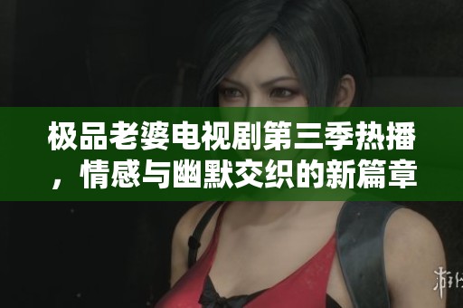 极品老婆电视剧第三季热播，情感与幽默交织的新篇章