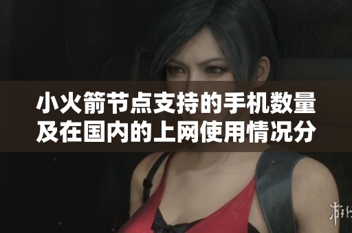 小火箭节点支持的手机数量及在国内的上网使用情况分析