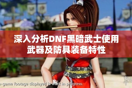 深入分析DNF黑暗武士使用武器及防具装备特性