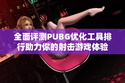 全面评测PUBG优化工具排行助力你的射击游戏体验