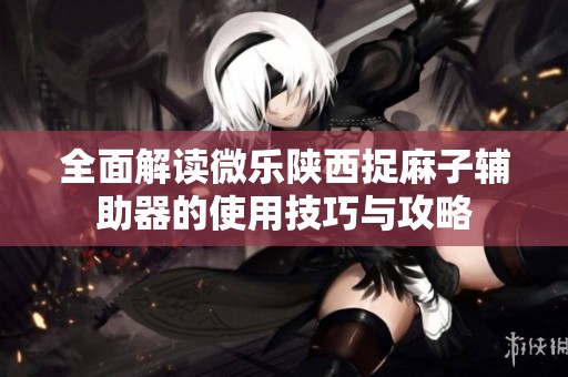 全面解读微乐陕西捉麻子辅助器的使用技巧与攻略