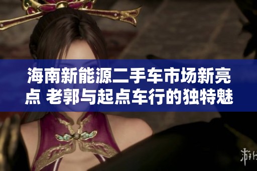 海南新能源二手车市场新亮点 老郭与起点车行的独特魅力