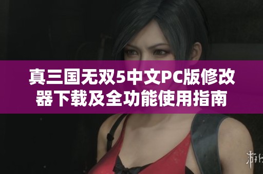 真三国无双5中文PC版修改器下载及全功能使用指南