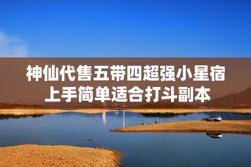 神仙代售五带四超强小星宿 上手简单适合打斗副本