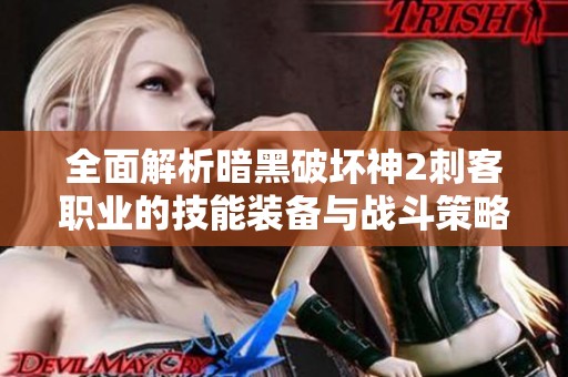 全面解析暗黑破坏神2刺客职业的技能装备与战斗策略